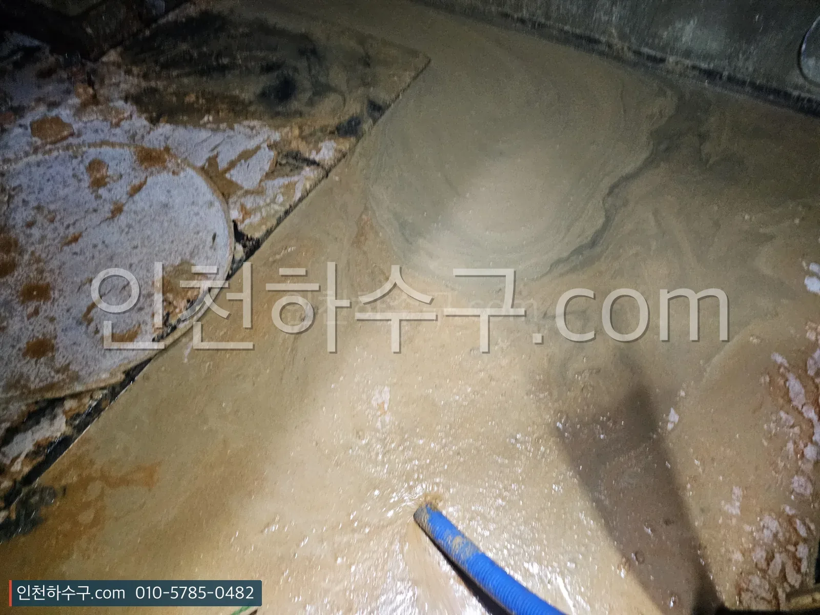 오수가 역류해 바닥에 고인 상태